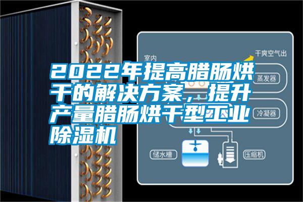 2022年提高臘腸烘干的解決方案，提升產量臘腸烘干型工業除濕機