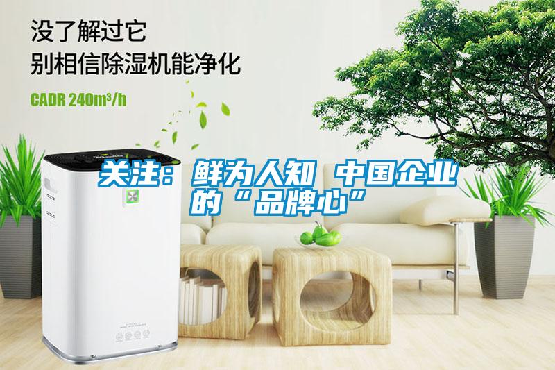 關注：鮮為人知 中國企業的“品牌心”