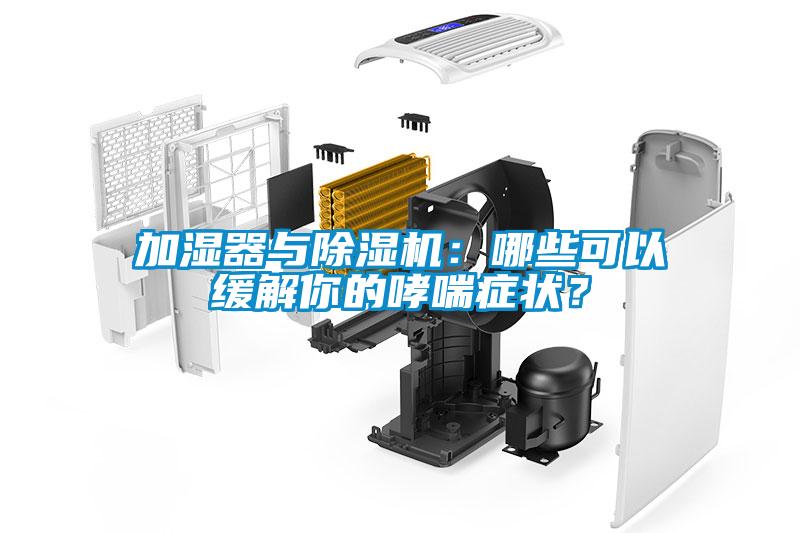 加濕器與除濕機：哪些可以緩解你的哮喘癥狀？