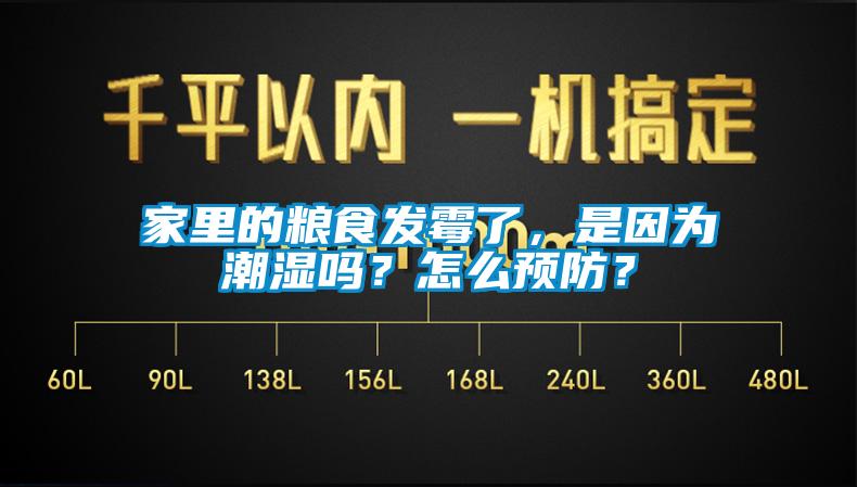 家里的糧食發(fā)霉了，是因為潮濕嗎？怎么預(yù)防？