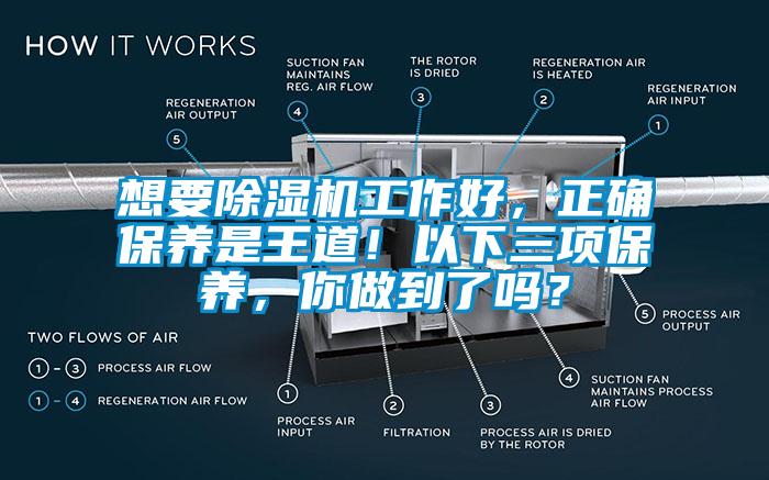 想要除濕機工作好，正確保養是王道！以下三項保養，你做到了嗎？