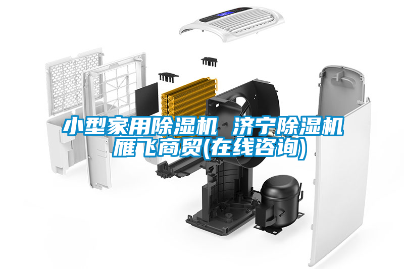 小型家用除濕機 濟寧除濕機 雁飛商貿(在線咨詢)