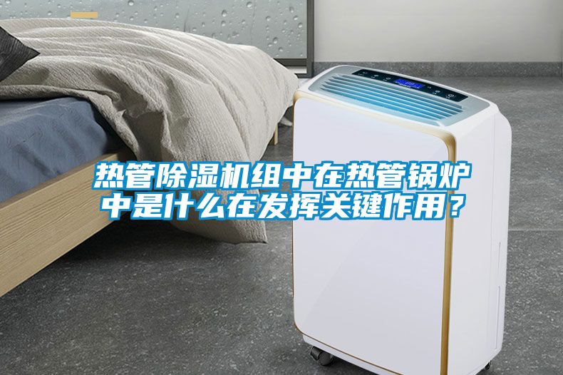 熱管除濕機組中在熱管鍋爐中是什么在發(fā)揮關鍵作用？