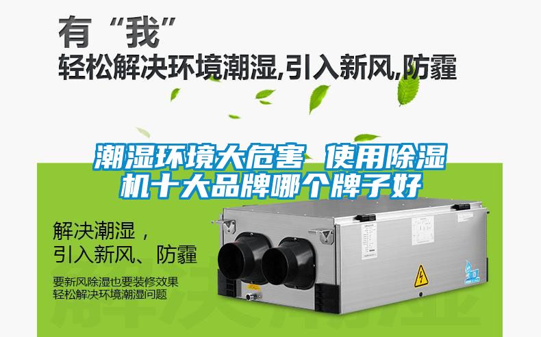 潮濕環境大危害 使用除濕機十大品牌哪個牌子好