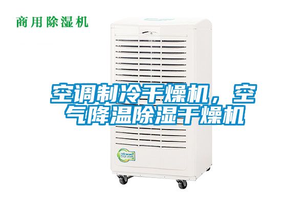 空調制冷干燥機，空氣降溫除濕干燥機