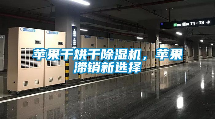 蘋果干烘干除濕機，蘋果滯銷新選擇