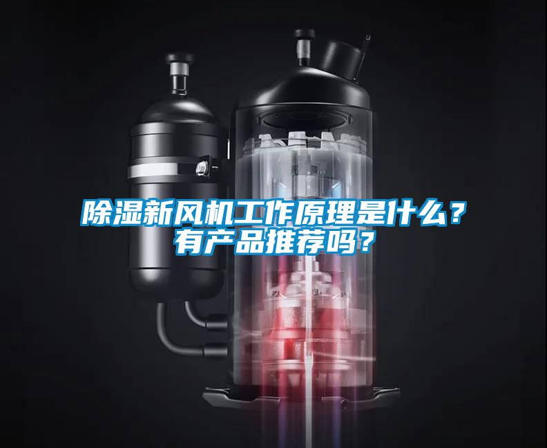 除濕新風機工作原理是什么？有產品推薦嗎？