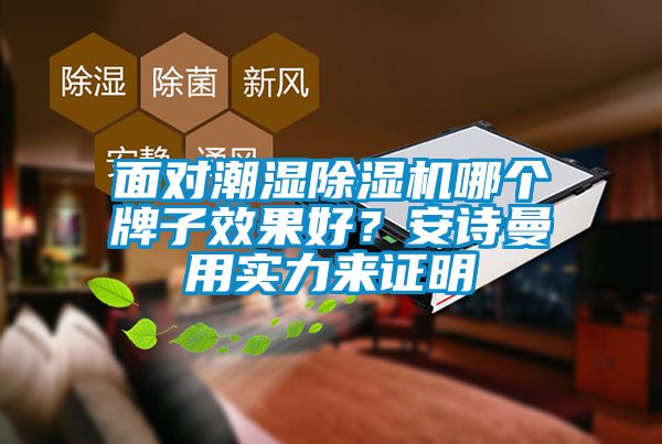 面對潮濕除濕機哪個牌子效果好？安詩曼用實力來證明