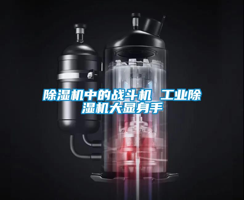 除濕機中的戰斗機 工業除濕機大顯身手